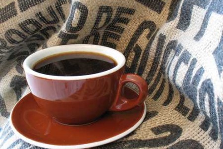 La cafeína protege nuestro cerebro