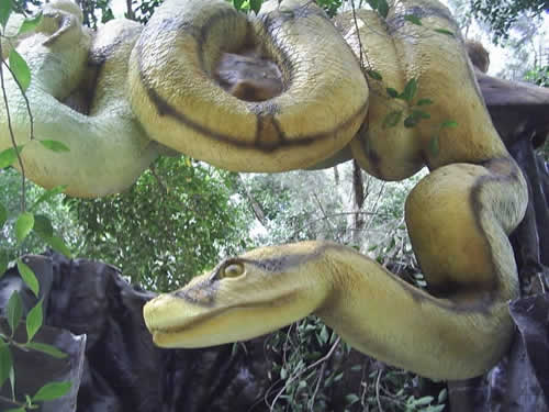 Titanoboa, la serpiente más grande de la historia