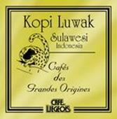 El café más caro del mundo, el Kopi Luwak